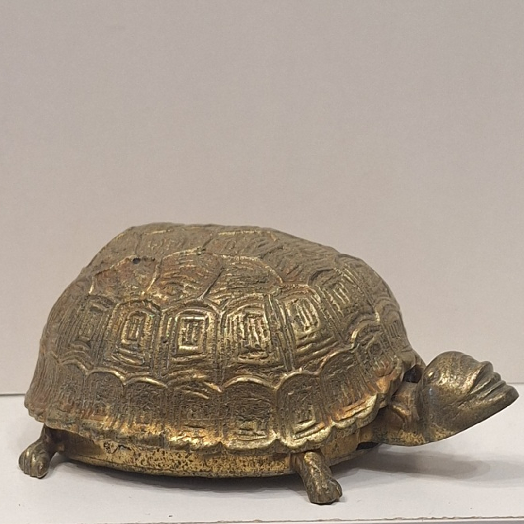 Caixa porta-Jóias,  tartaruga  1