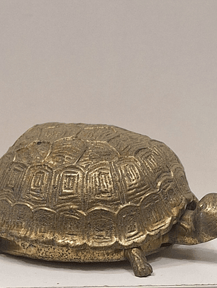 Caixa porta-Jóias,  tartaruga 