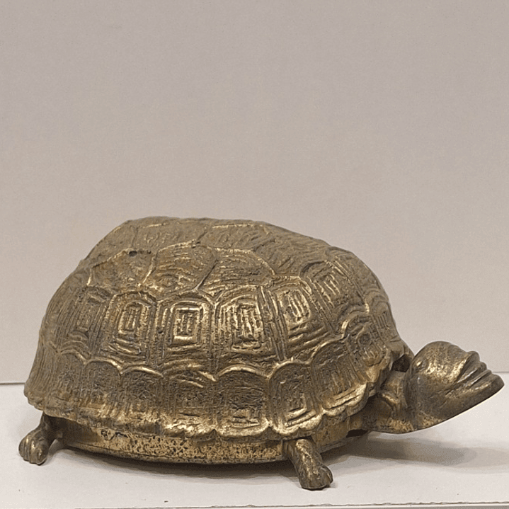 Caixa porta-Jóias,  tartaruga  1