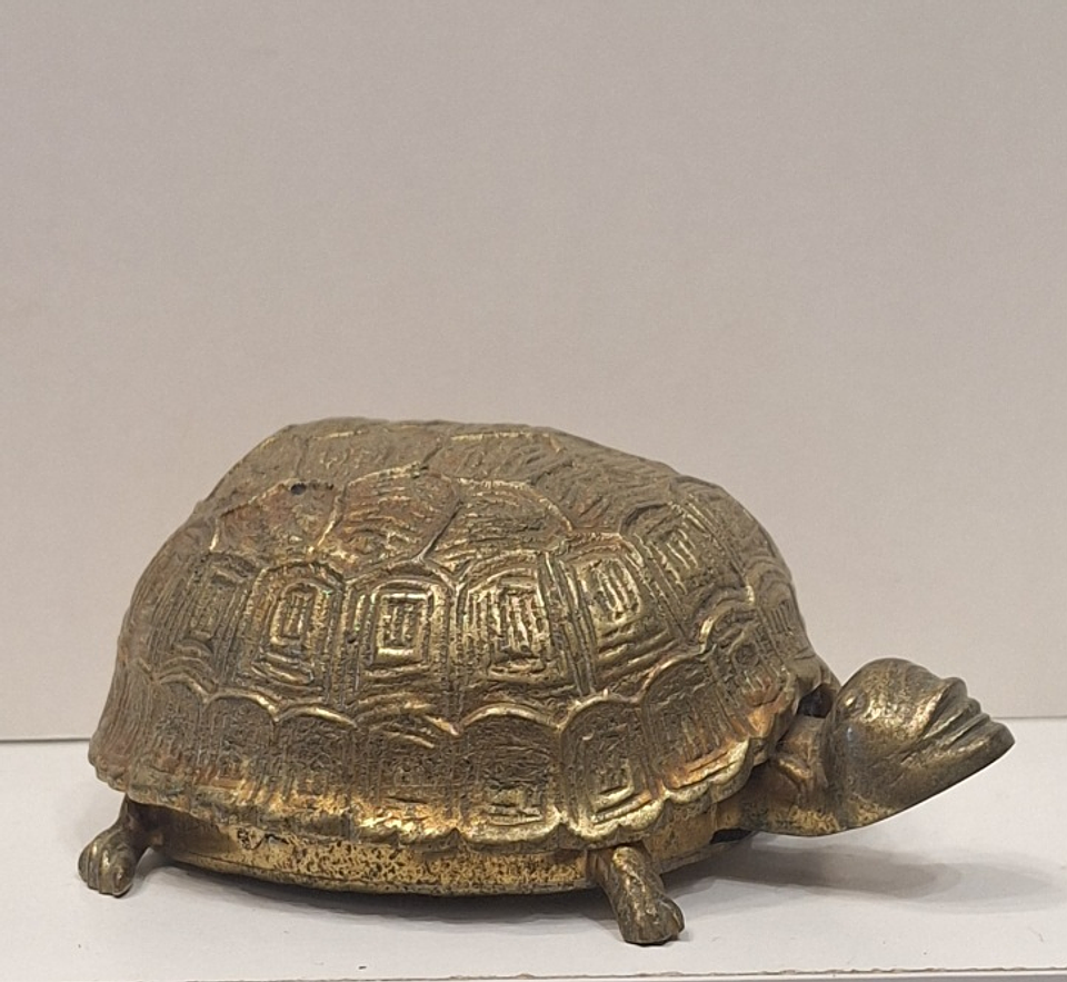 Caixa porta-Jóias,  tartaruga  1