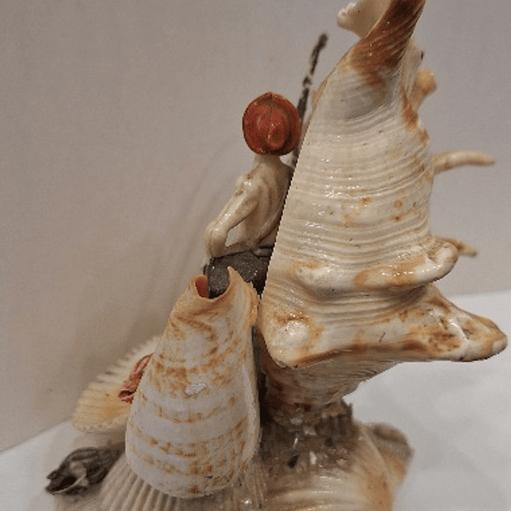 Conchas marinhas 3