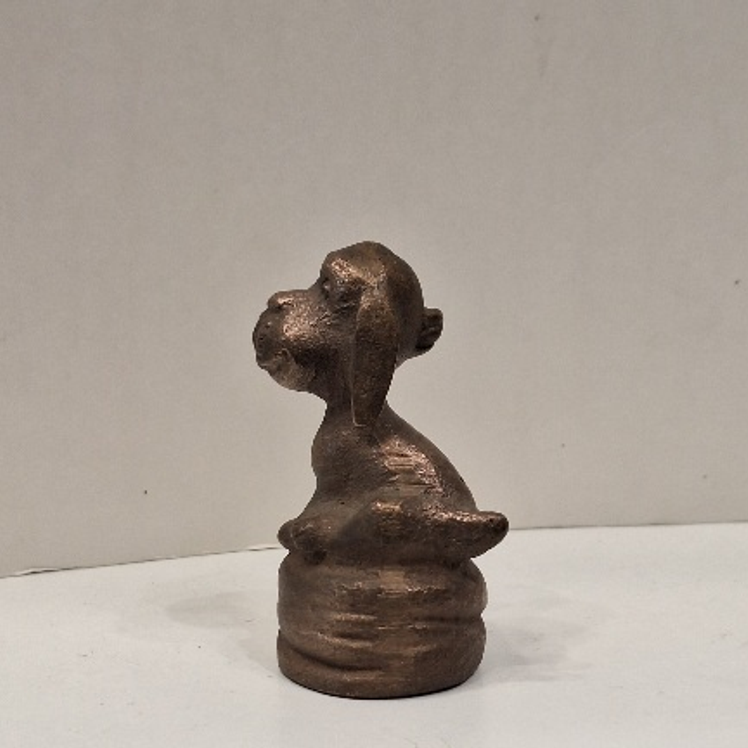 Mini cão Loriot Wun bronze  4