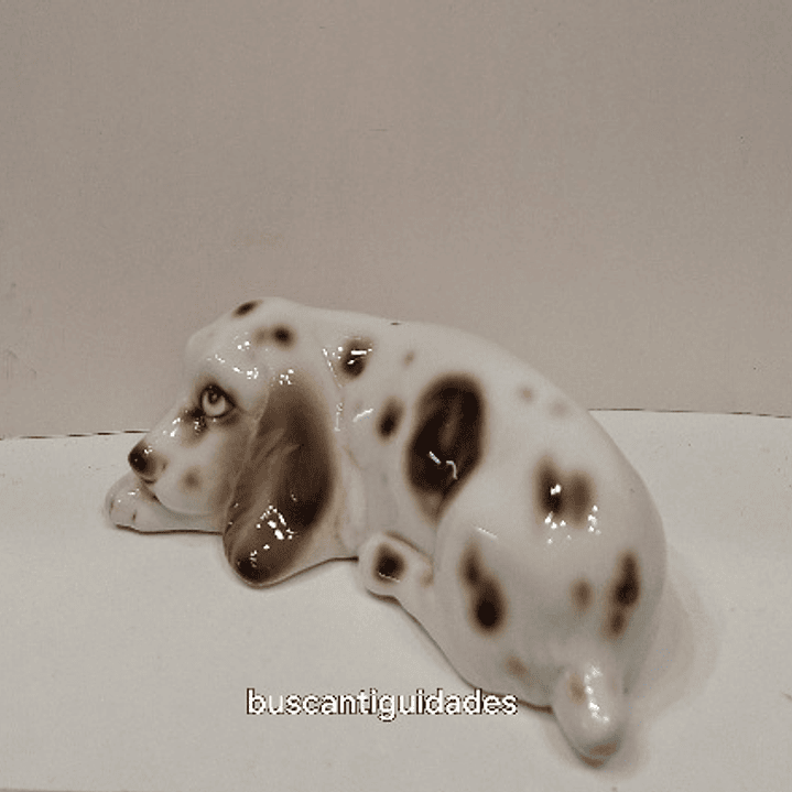 Cão em porcelana  2