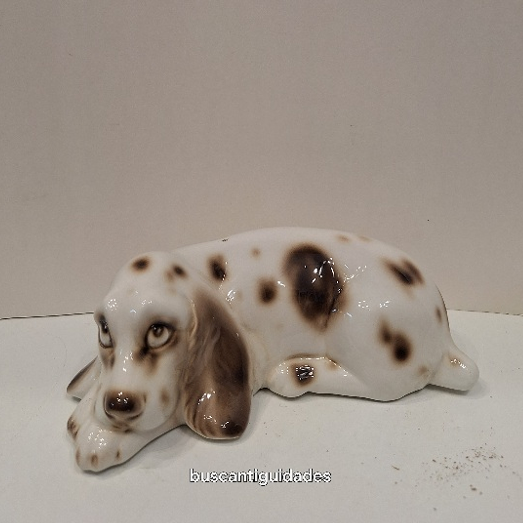 Cão em porcelana  1