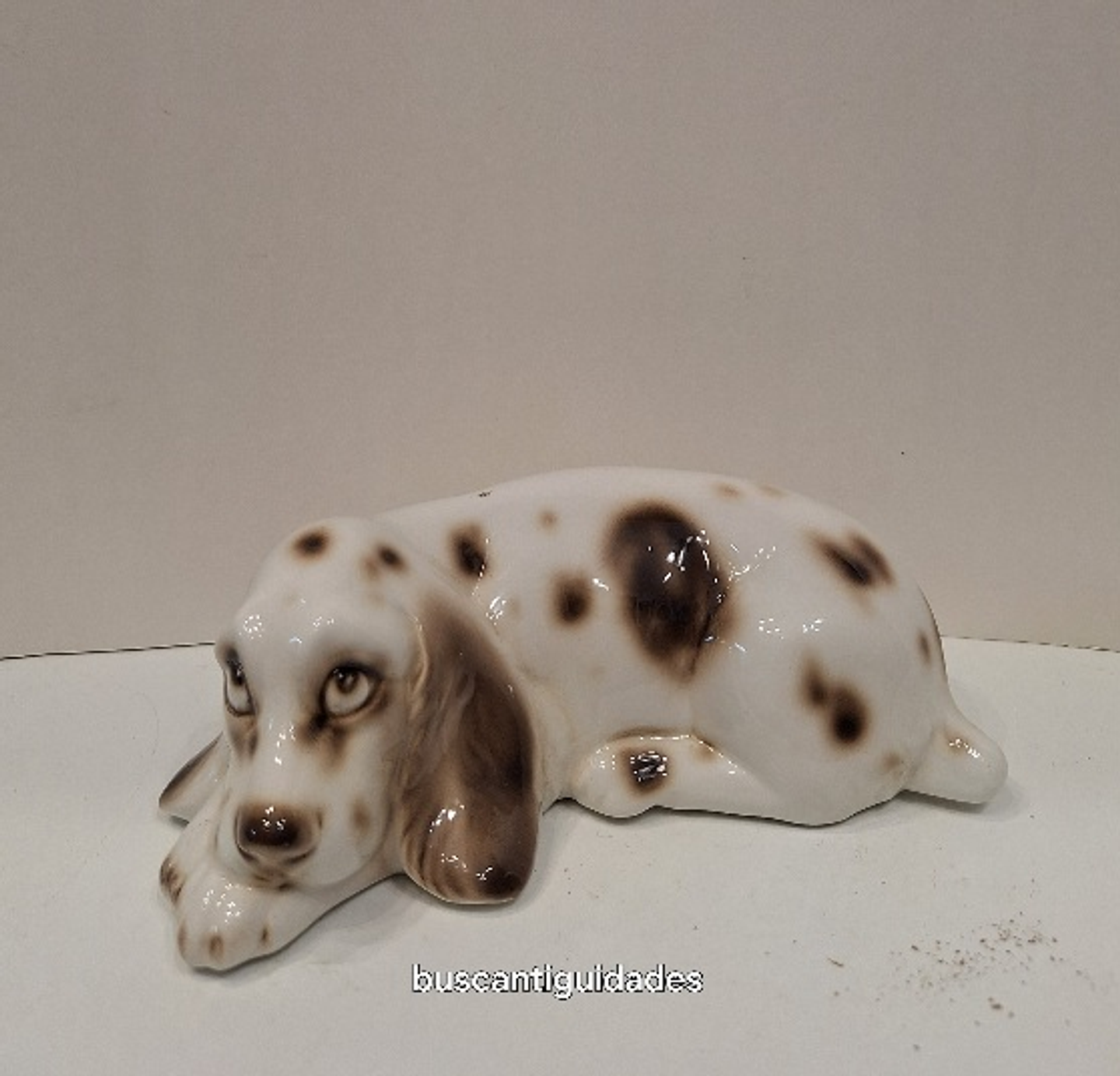 Cão em porcelana  1