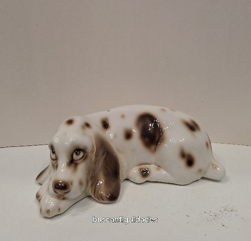 Cão em porcelana  1