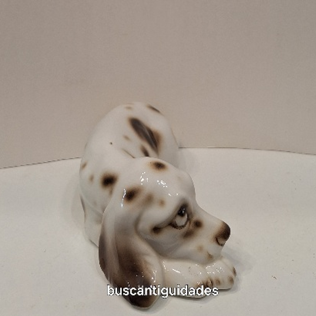 Cão em porcelana  3