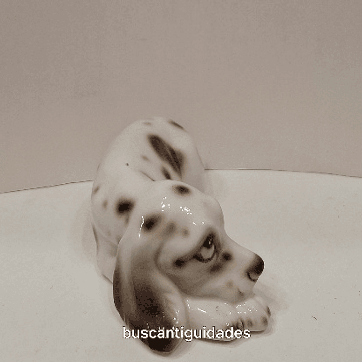 Cão em porcelana  3