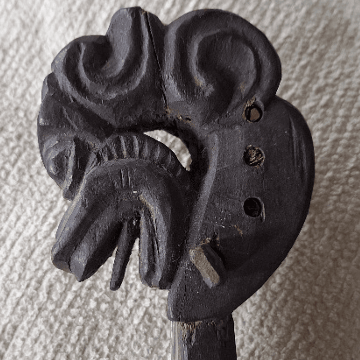 Instrumento de corda Tibetano  1