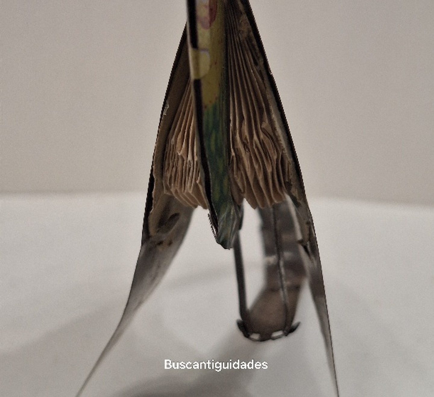 Brinquedo de lata, pássaro com fole 3