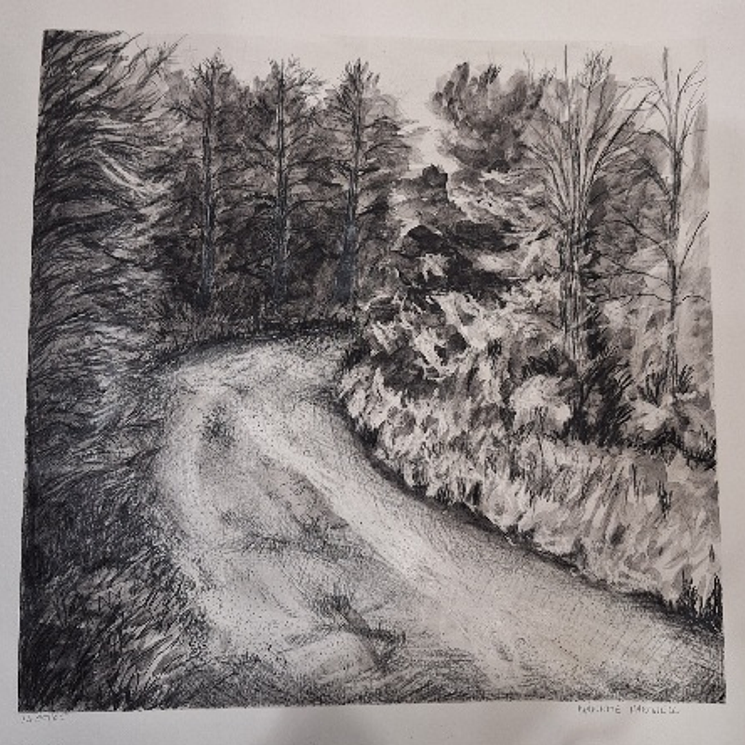 Nanette Hartwell, desenho a carvão  1