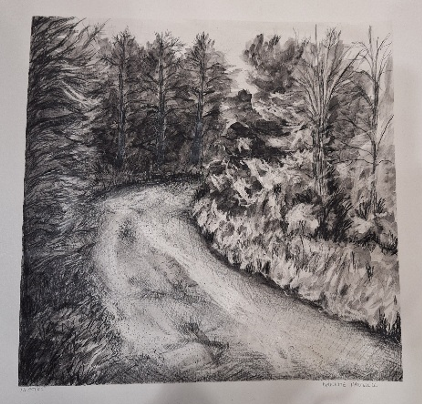 Nanette Hartwell, desenho a carvão  1