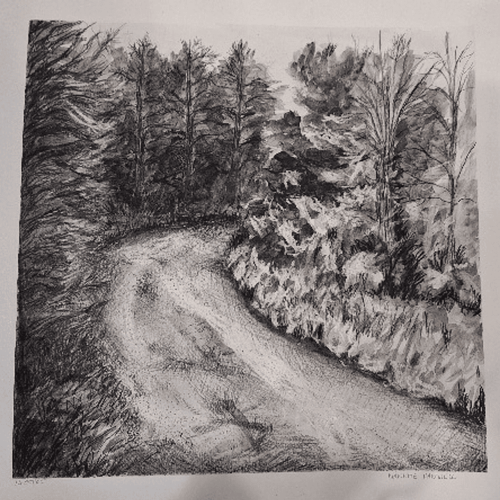 Nanette Hartwell, desenho a carvão  1