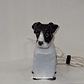 Luminária/Incensário, Jack Russell Terrier  - Thumbnail 3