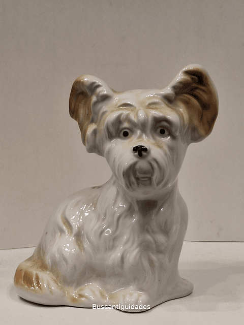 Bibelot, cão Schnauzer