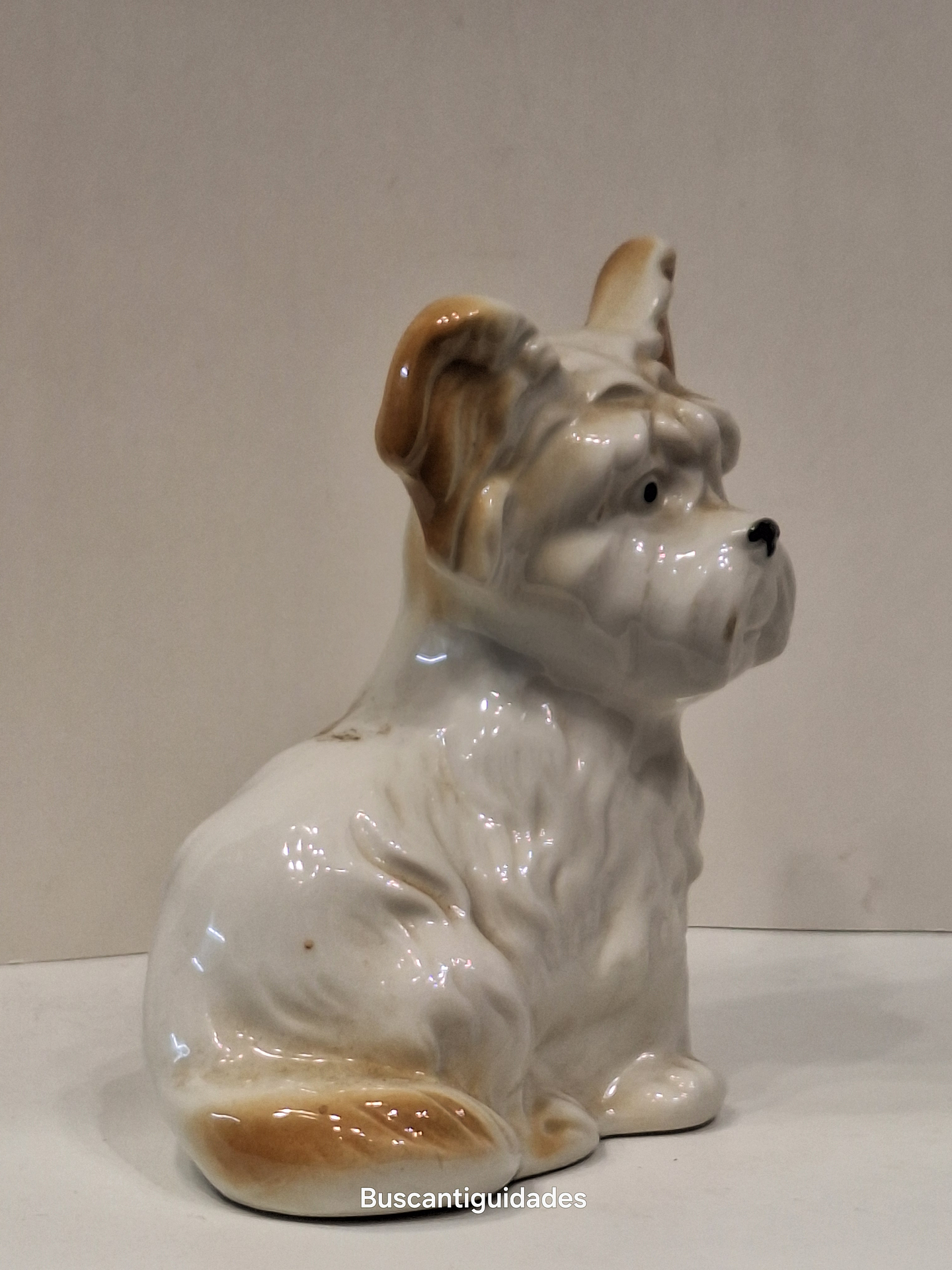 Bibelot, cão Schnauzer 2