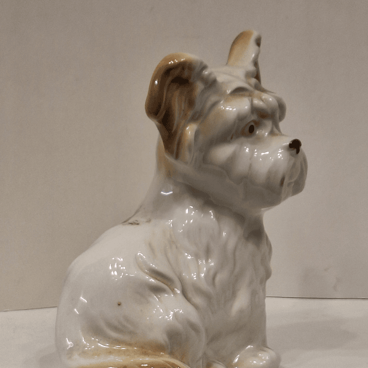 Bibelot, cão Schnauzer 2