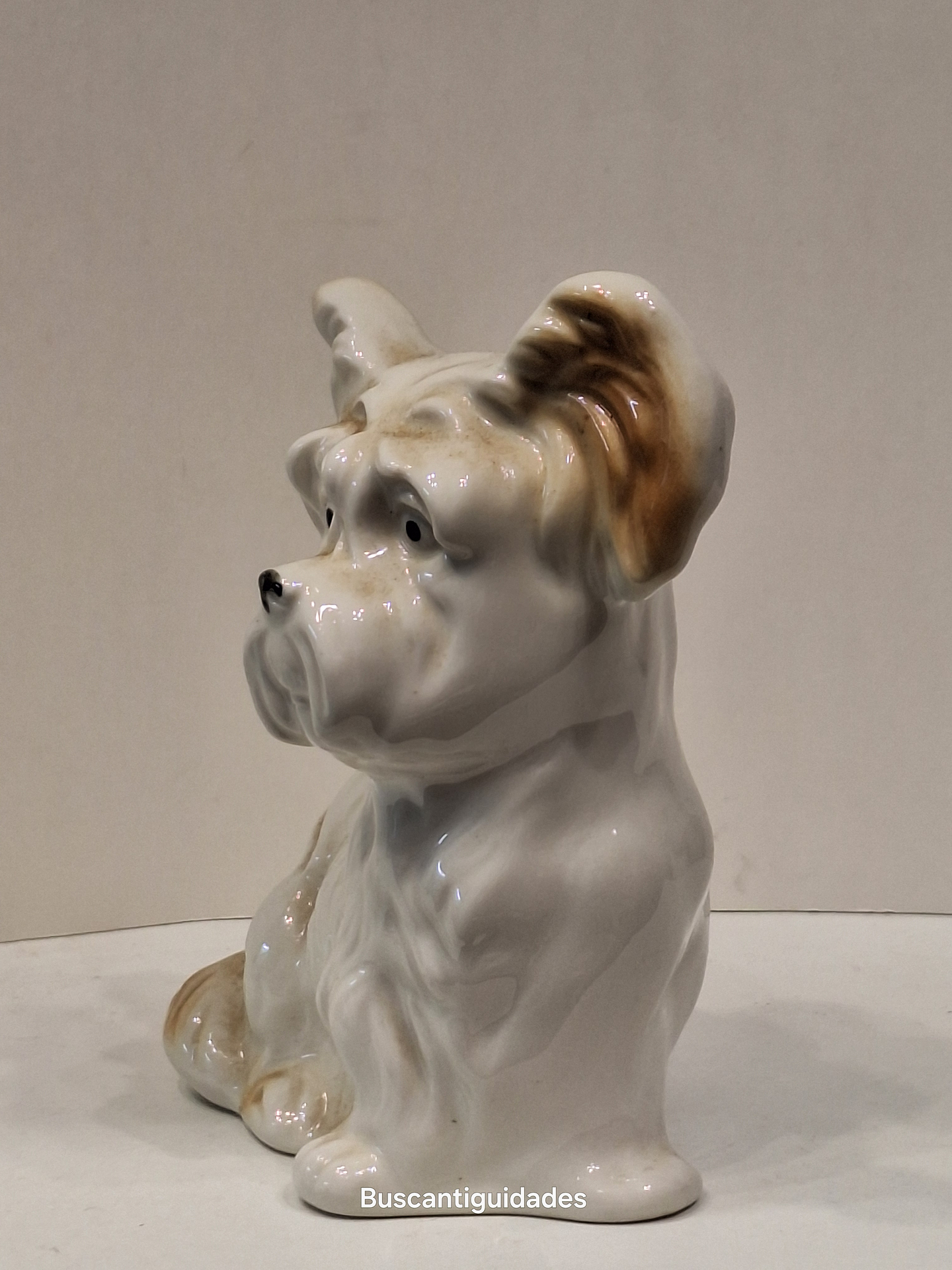 Bibelot, cão Schnauzer 3