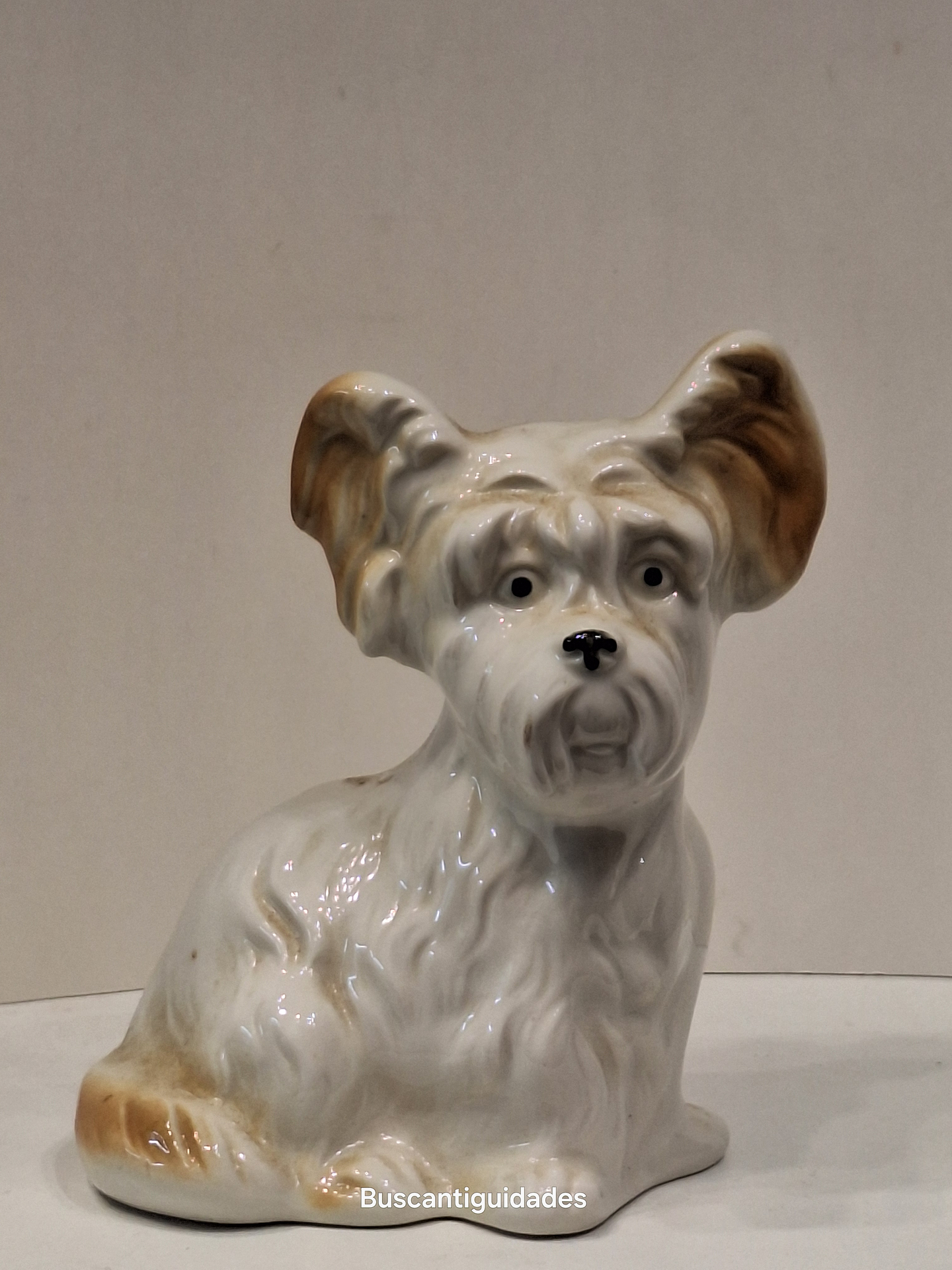 Bibelot, cão Schnauzer 4