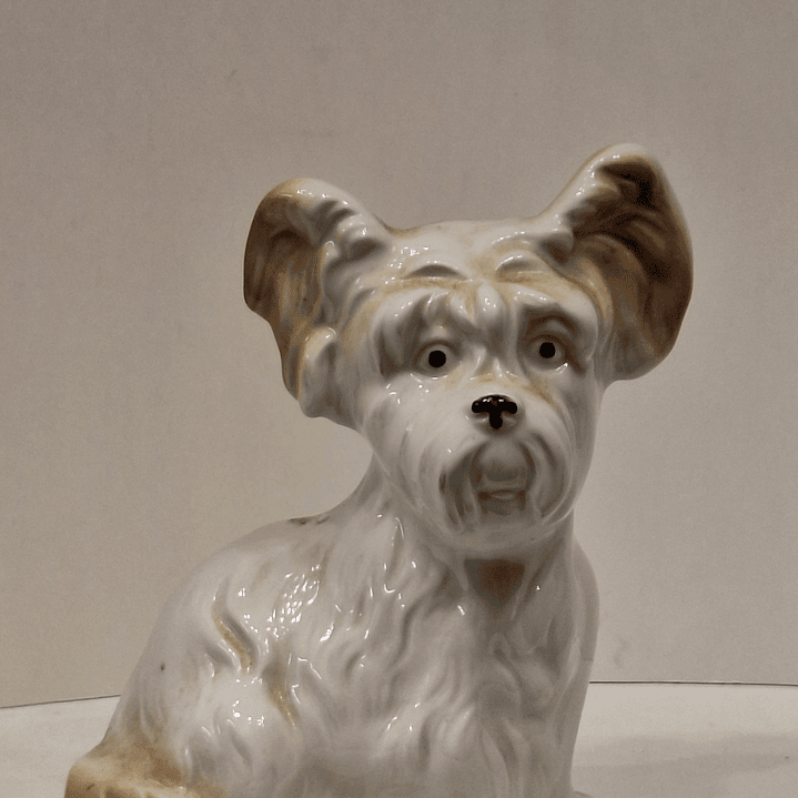 Bibelot, cão Schnauzer 4
