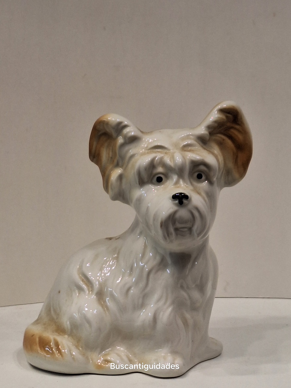 Bibelot, cão Schnauzer 4