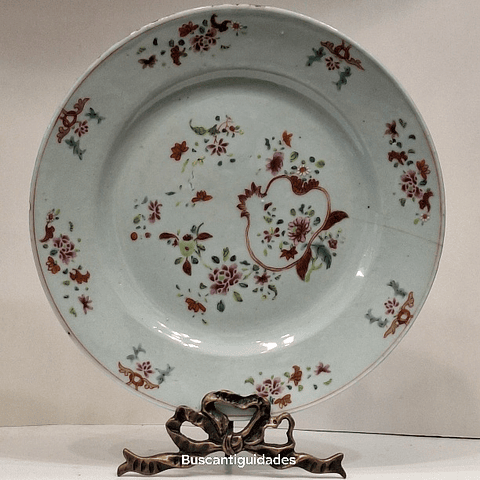 Prato raso, família rosa 