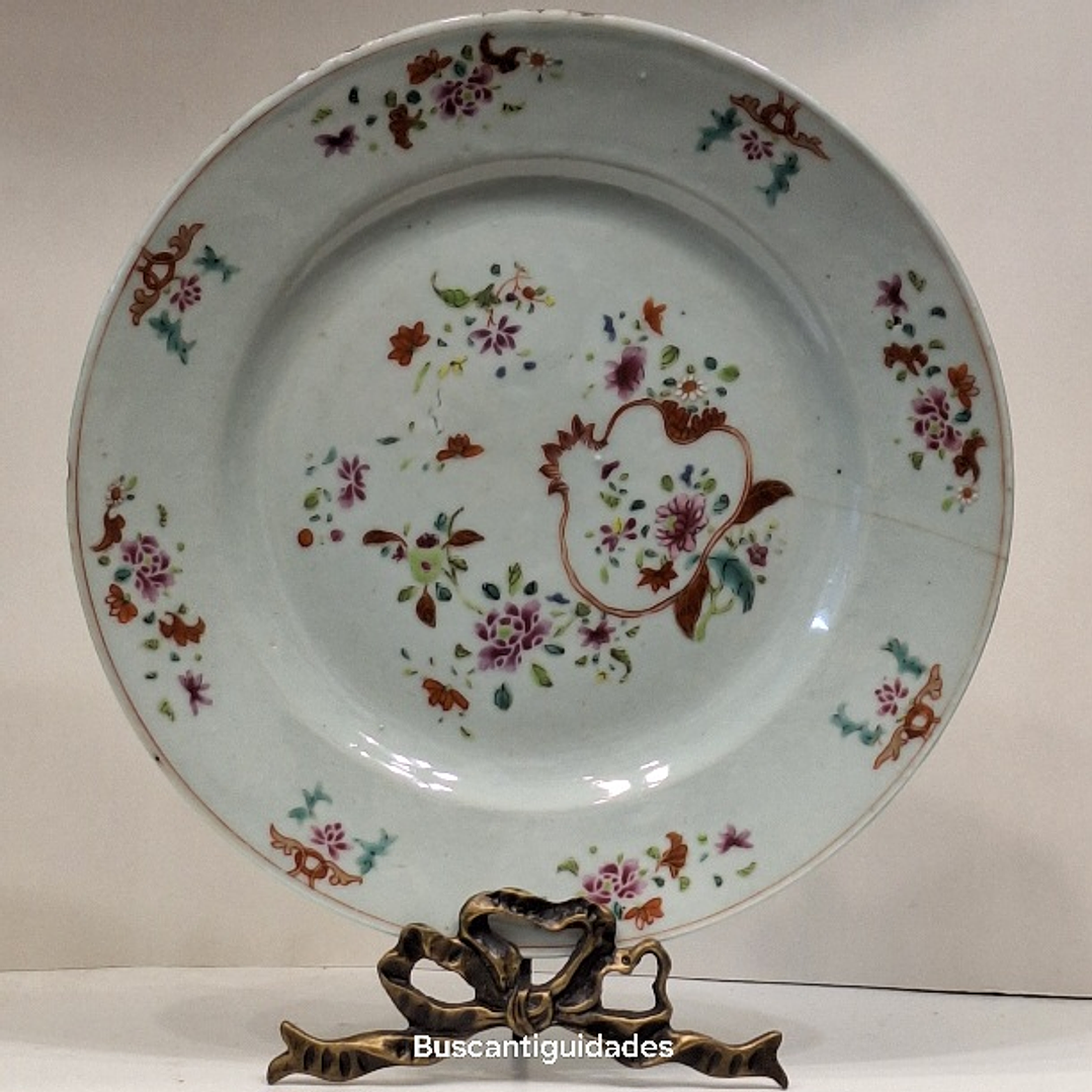 Prato raso, família rosa  1