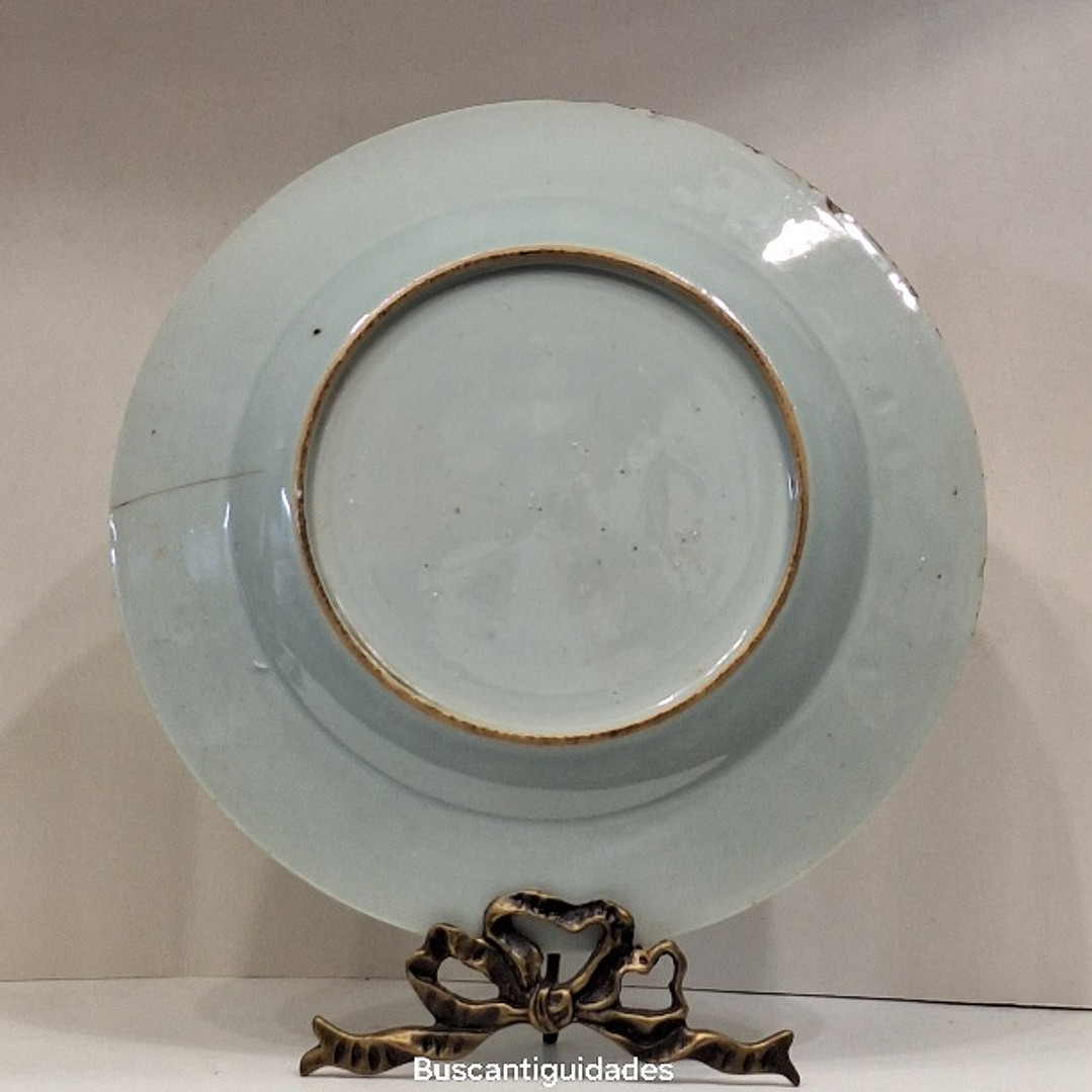 Prato raso, família rosa  2