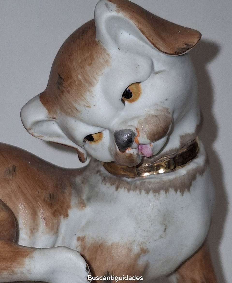 Bibelot em biscuit policromado, cão  4