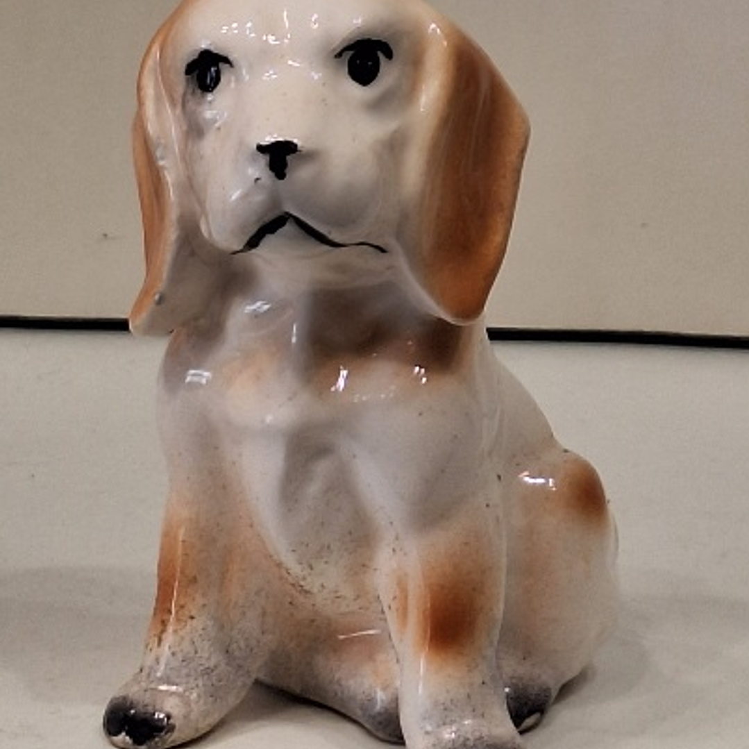 Bibelot, Cão Beagle 2