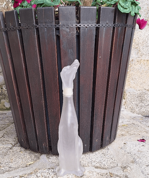 Grande garrafa, representando cão 