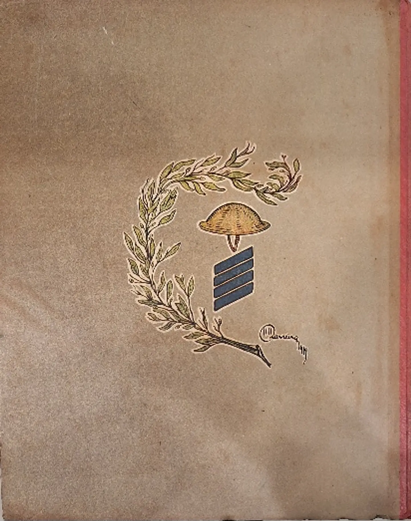 Livro: João Ninguém Soldado da Grande Guerra  6