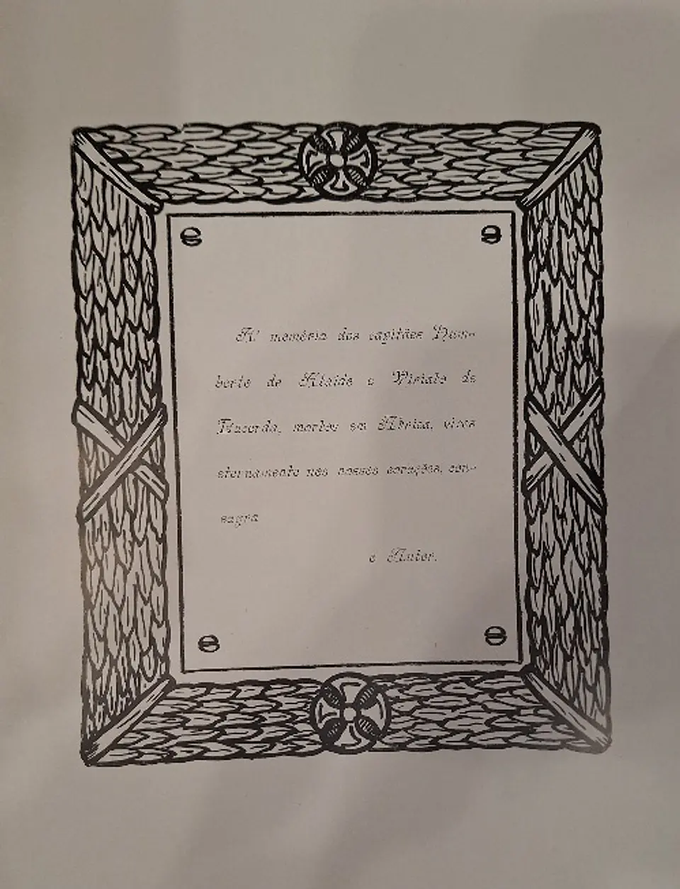 Livro: João Ninguém Soldado da Grande Guerra  5