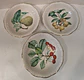 PRATO DE CONSERVA ROYAL CAULDON TURPIN PINA MIRABELLE PRATO DE MOLHO BRISTOL IRONSTONE - Thumbnail 1