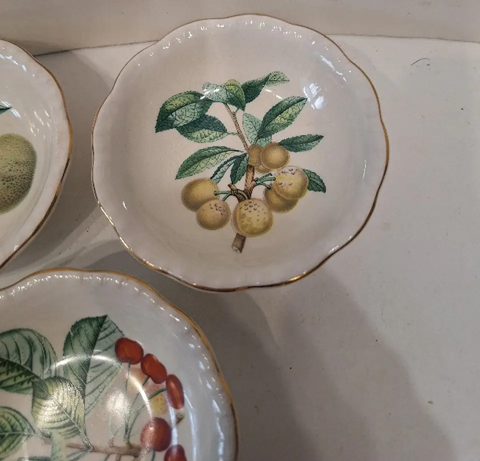 PRATO DE CONSERVA ROYAL CAULDON TURPIN PINA MIRABELLE PRATO DE MOLHO BRISTOL IRONSTONE 3