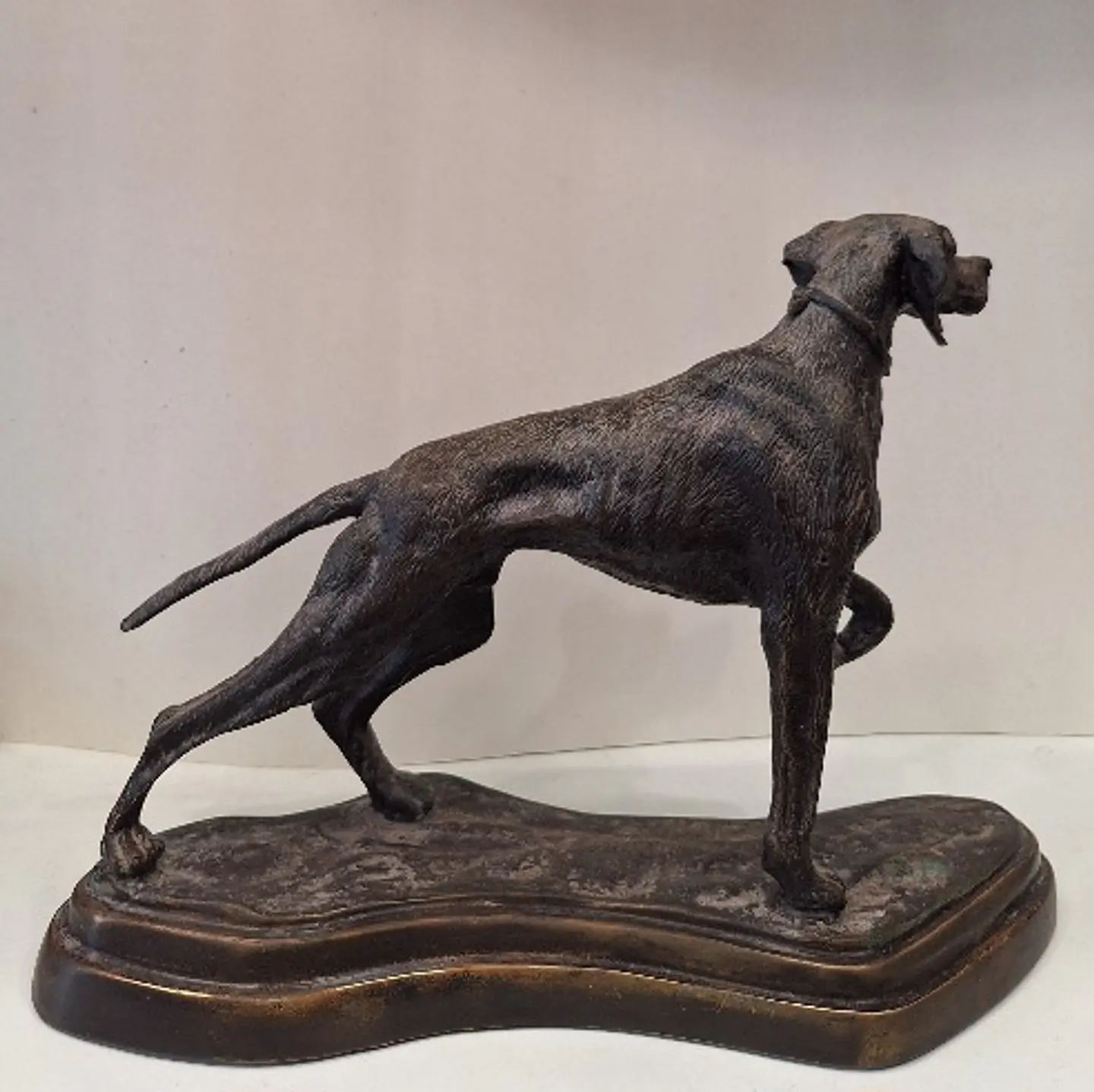 Escultura de bronze, representando cão, finamente modelado com uma pátina marrom escura. Sem assinatura visível, atribuído a autoria a Maitland Smith. Anos 80. 3