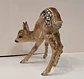 Cervo em porcelana alemã, policromada da Hutschenreuther de Hohenberg, Selb - miniatura 2
