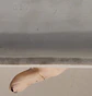 Fosforeira em biscuit da Schafer & Vater, Alemanha  - thumbnail 5