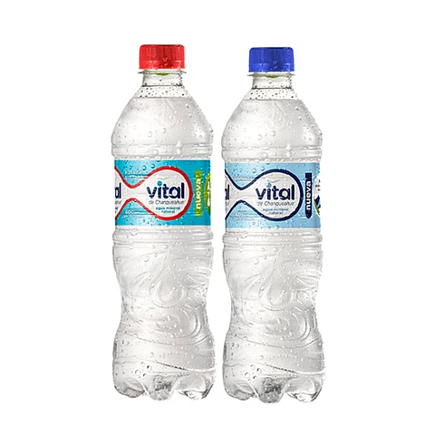 Agua Mineral C/S Gas 600 cc.