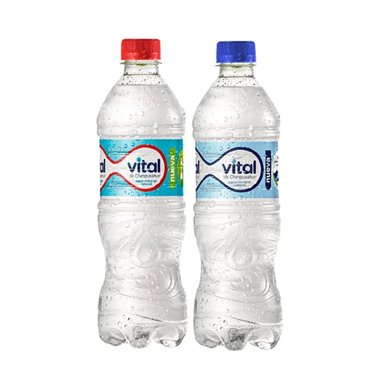 Agua Mineral C/S Gas 600 cc. 1