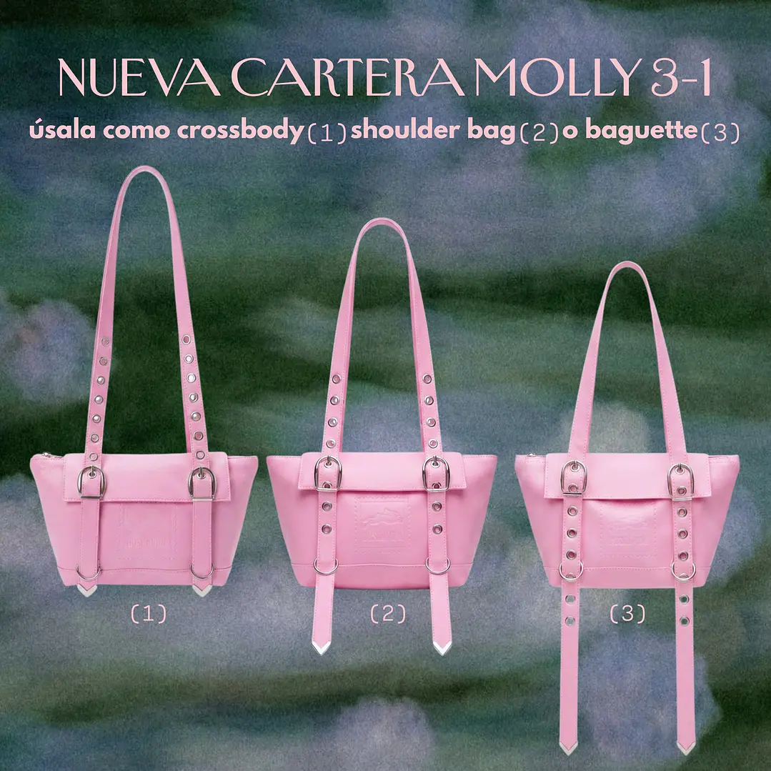 CARTERA MOLLY 3-1 PINK 1