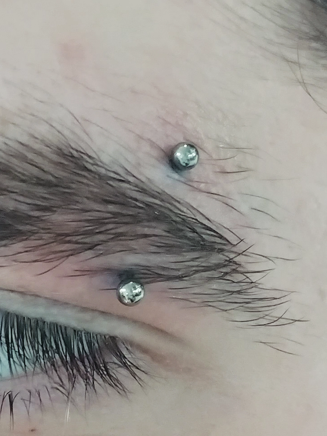 Eyebrow perforación (ceja) 3