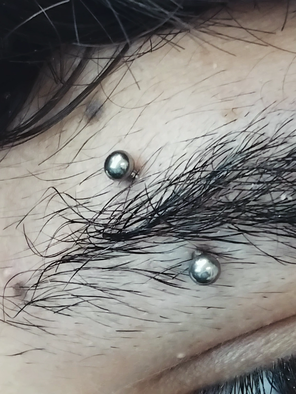 Perforacion eyebrow (ceja) 4