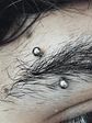 Perforacion eyebrow (ceja) - Miniatura 4