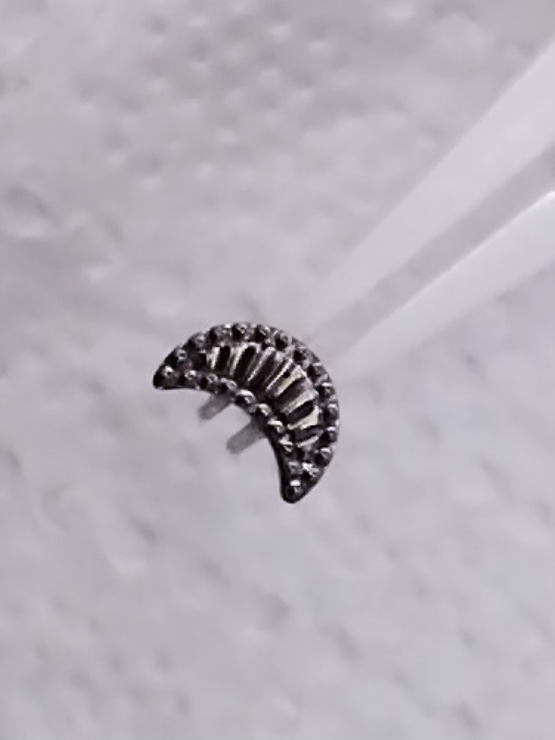 Top luna 16g en titanio grado implante 2