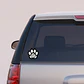 Sticker Auto CAT ON BOARD - Miniatura 3