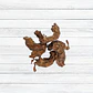 Cogotes De Pollo 100 grs. - Miniatura 2