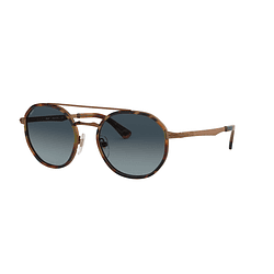 Persol PO2456S