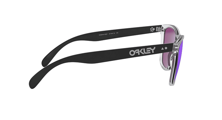 Oakley Frogskins 35Th Prizm - Image 9