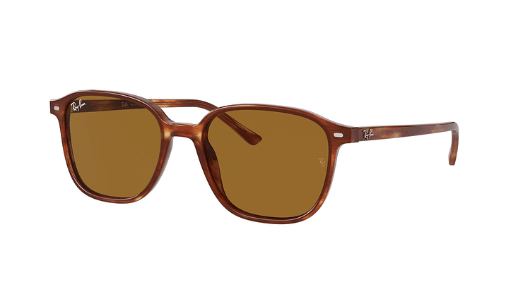 Ray-Ban Leonard - Image 1